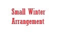 Small Winter Arrangement